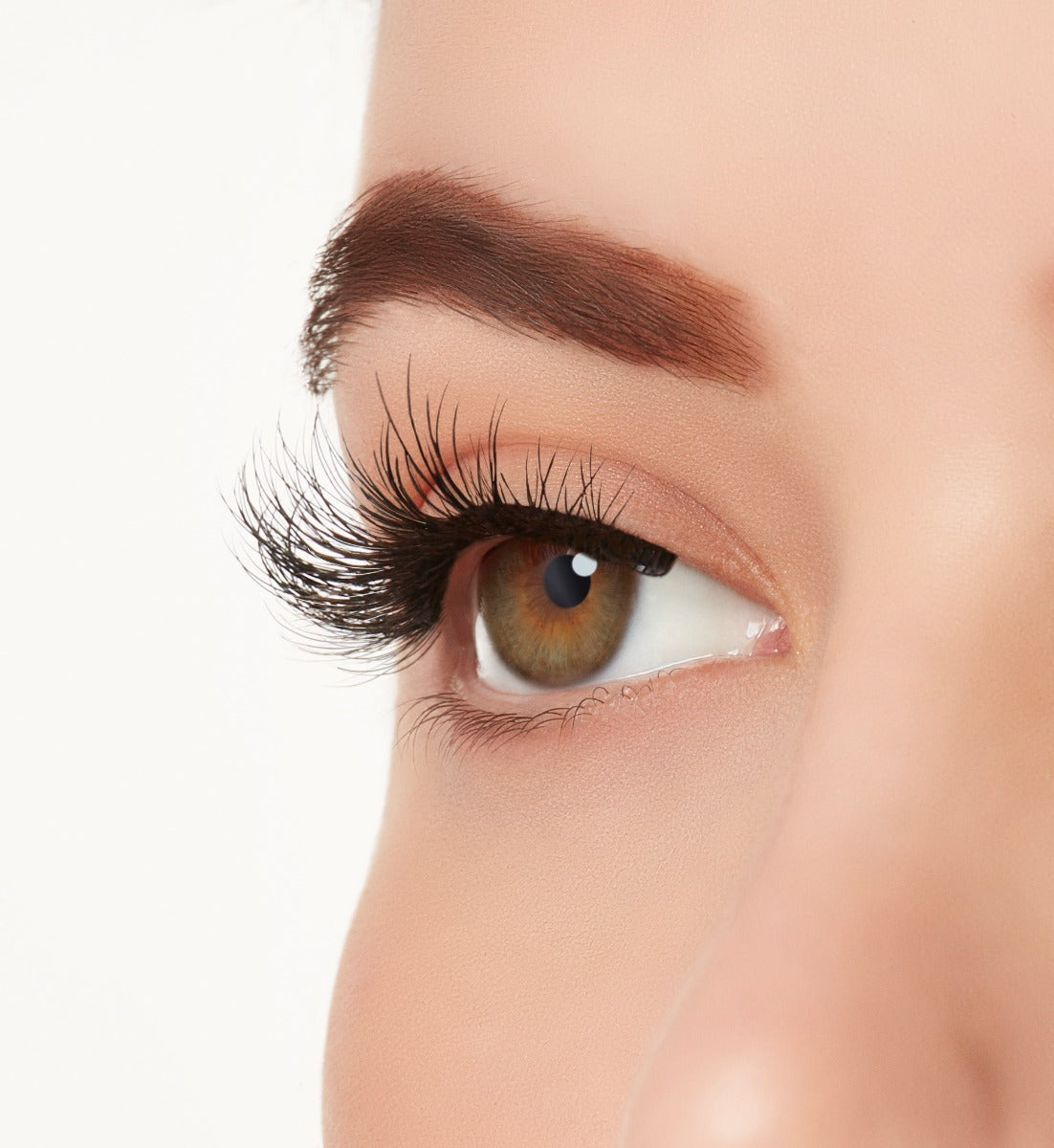 Active Lash Physical