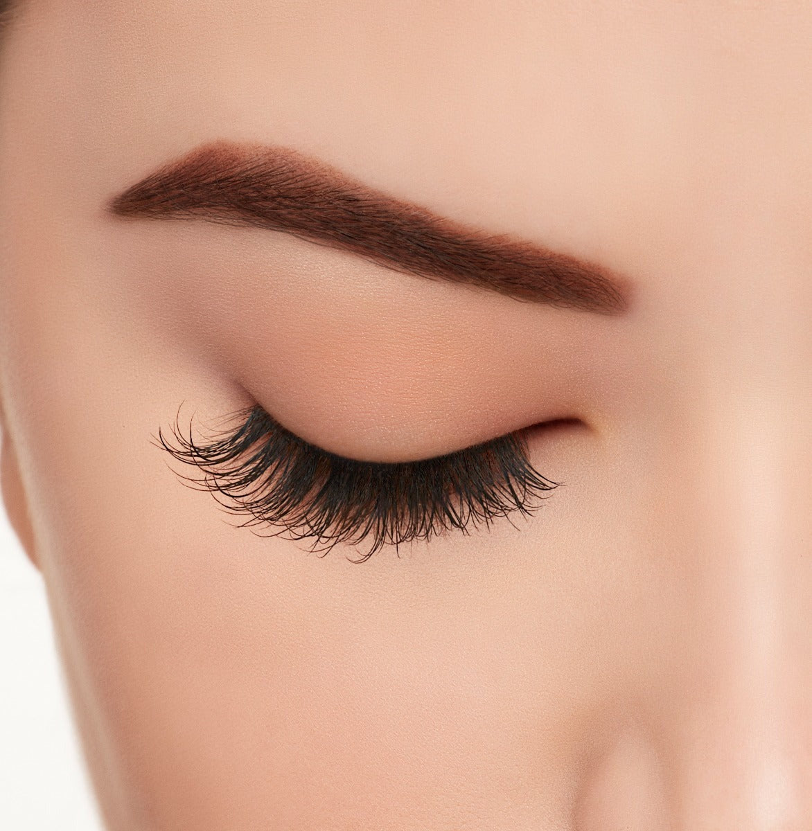 Active Lash Physical