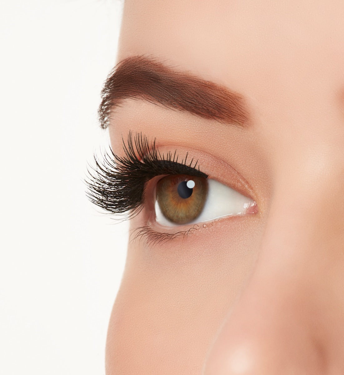Active Lash Speedy
