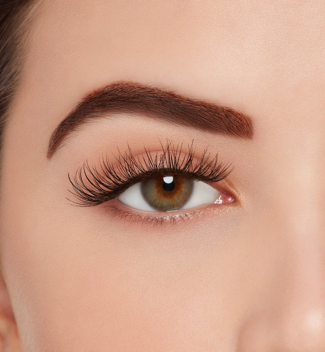 Active Lash Physical
